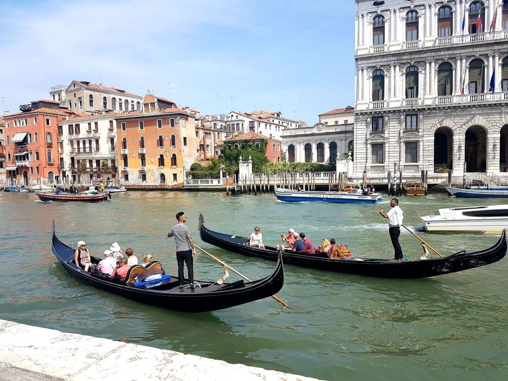 19897861_10158876334700461_348325715_o